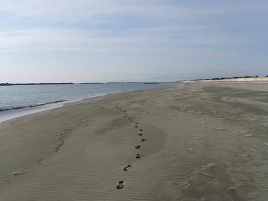 a0125598_20382240.jpg