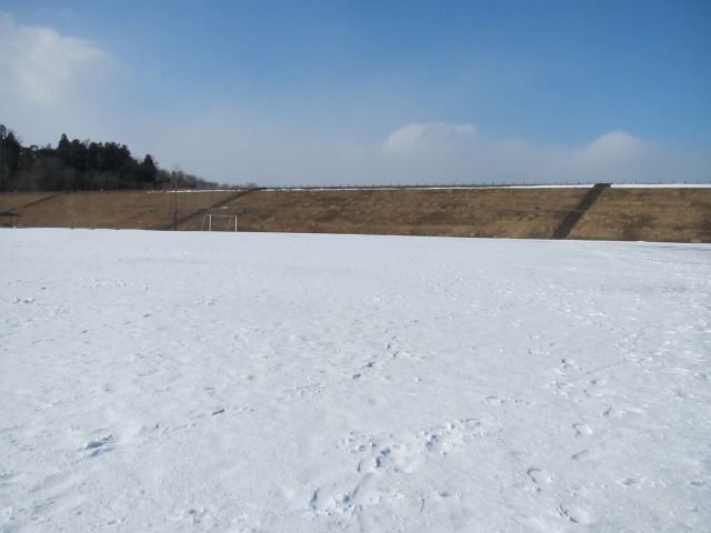 f0039907_17542998.jpg
