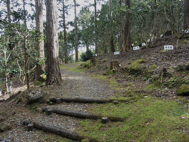 d0154609_1324590.jpg
