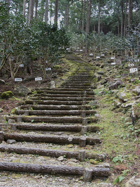 d0154609_1325667.jpg