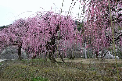 a0249510_21301685.jpg