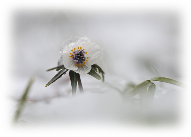 d0029829_23461336.png