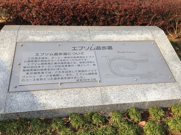 c0125932_2228745.jpg