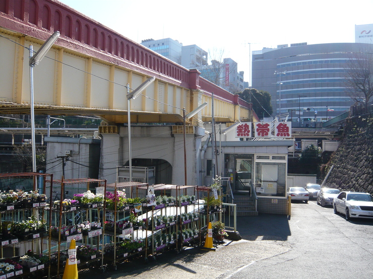 c0250835_15324218.jpg