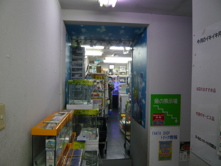 c0250835_1622795.jpg