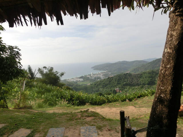 f0001835_23351540.jpg