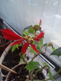 c0056437_1245656.jpg