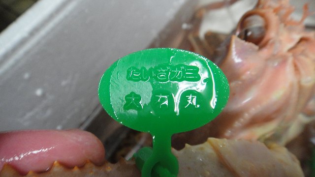 f0208737_811156.jpg