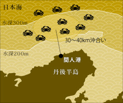 f0208737_8214296.jpg