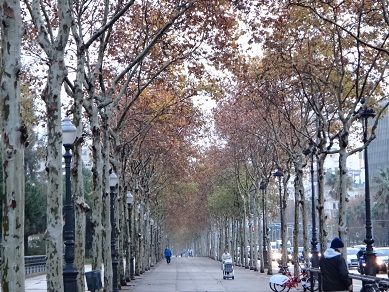 e0238838_1758532.jpg