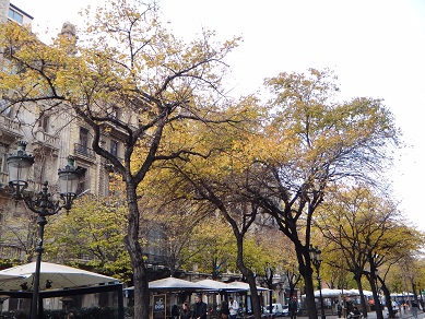 e0238838_1812257.jpg