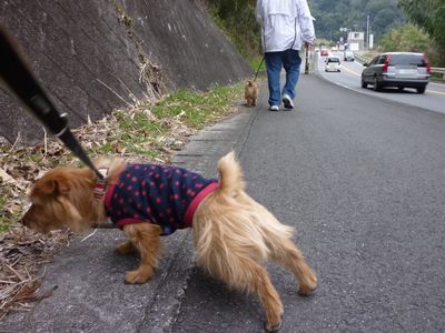 c0211540_22283763.jpg