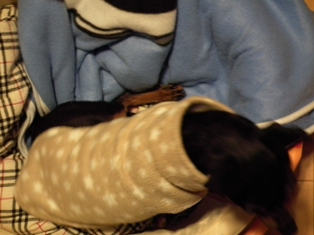 e0150843_1830563.jpg