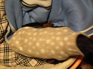 e0150843_18313853.jpg