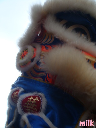 b0149445_32520.jpg