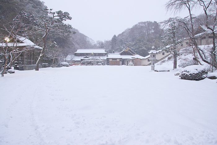 c0180845_1502729.jpg