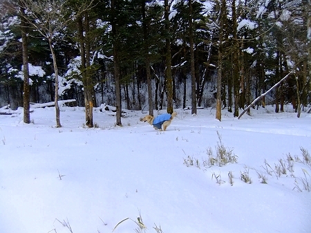 c0097558_13213238.jpg