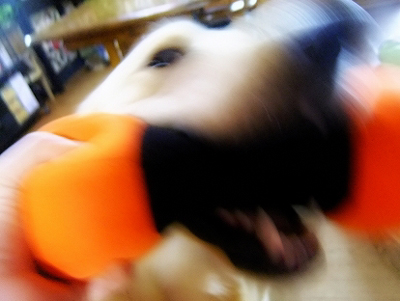 c0097558_2321533.jpg