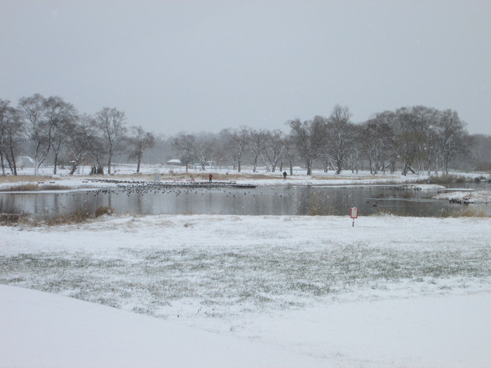 c0140260_2232232.jpg