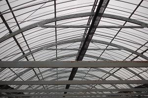 f0186462_2301027.jpg