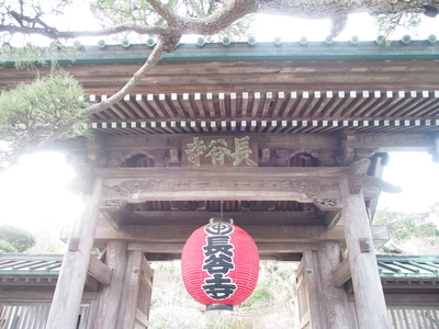 c0000685_2012165.jpg
