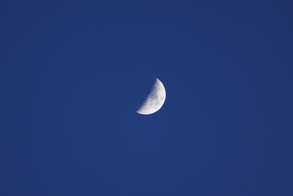 d0130286_019768.jpg