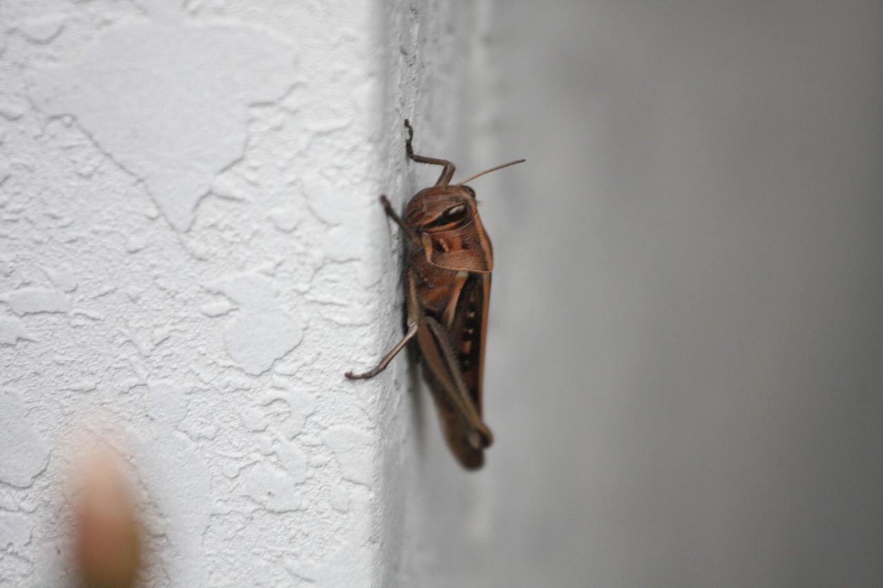 f0140087_22442197.jpg