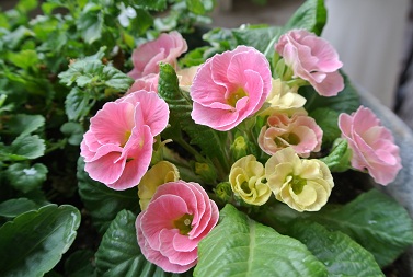 b0128589_13293111.jpg