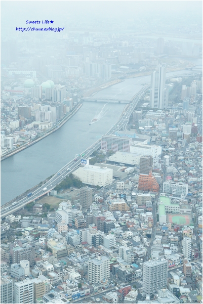 f0224192_2235599.jpg