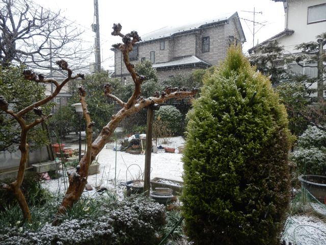 f0130894_17261945.jpg