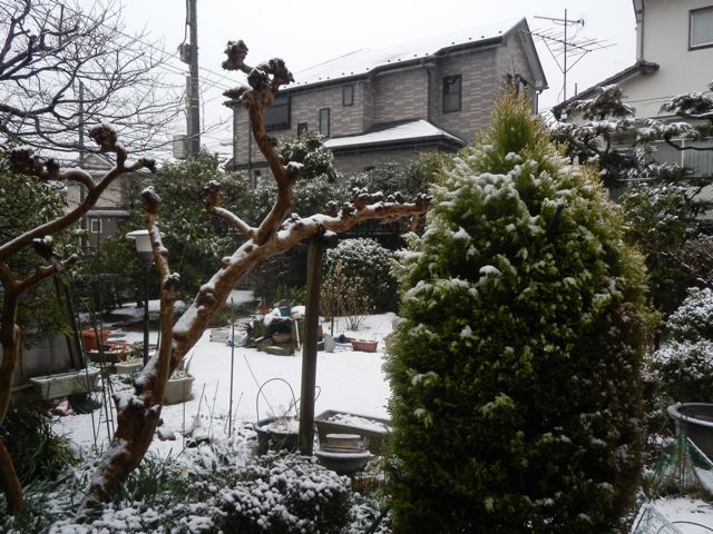 f0130894_17272691.jpg