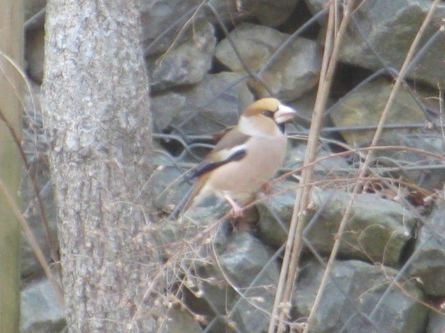 b0173802_2349371.jpg