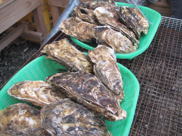 f0039907_1541308.jpg