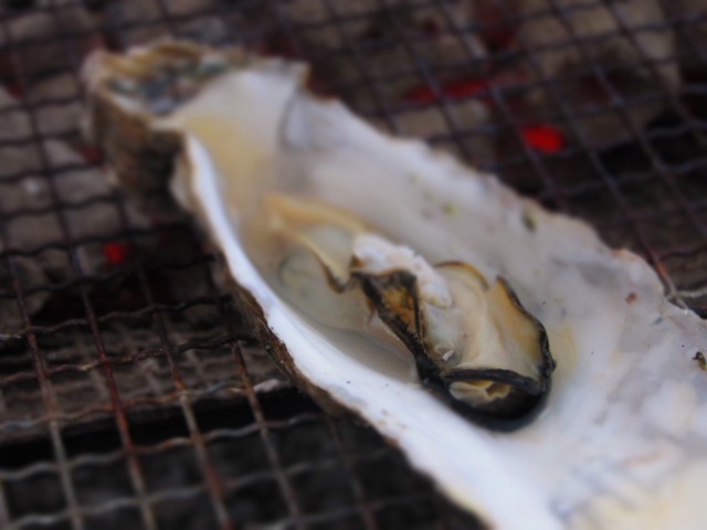 f0039907_1544719.jpg