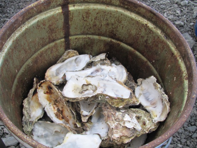 f0039907_15482827.jpg