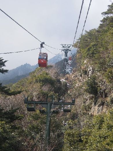 c0149408_1504385.jpg