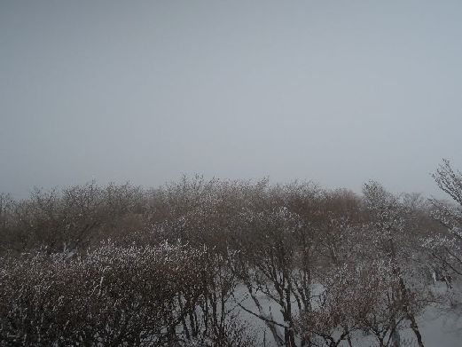 c0149408_155182.jpg