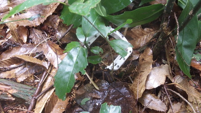 e0015108_7471838.jpg