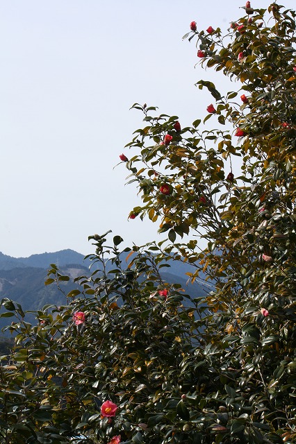 d0154609_1910818.jpg