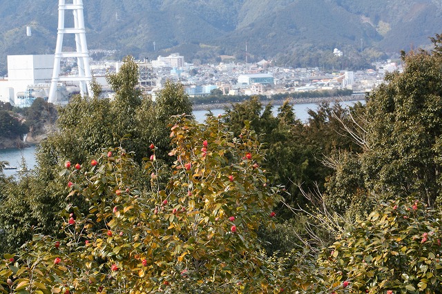 d0154609_1931139.jpg
