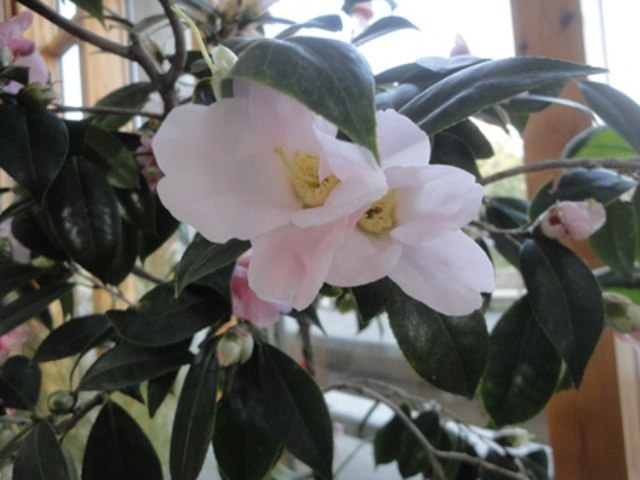 f0231709_10382434.jpg