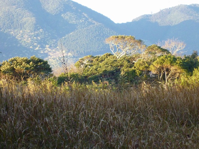 d0037110_2043551.jpg