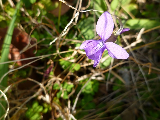 d0037110_20472920.jpg