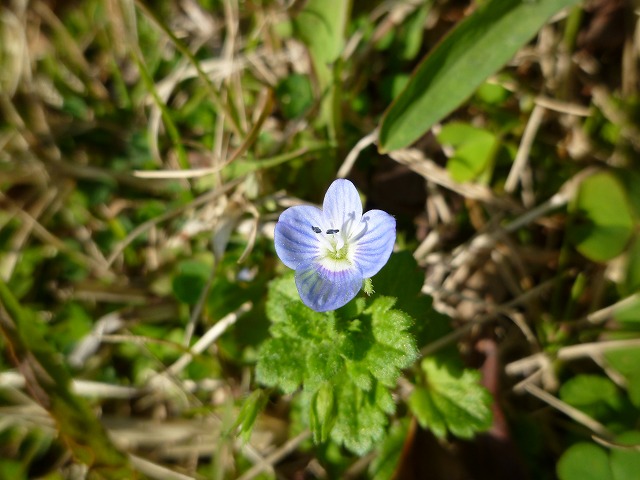 d0037110_20474243.jpg