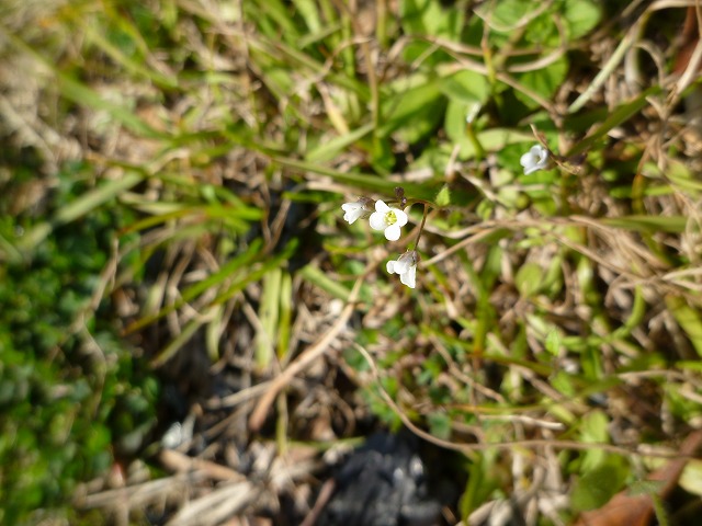 d0037110_20482164.jpg