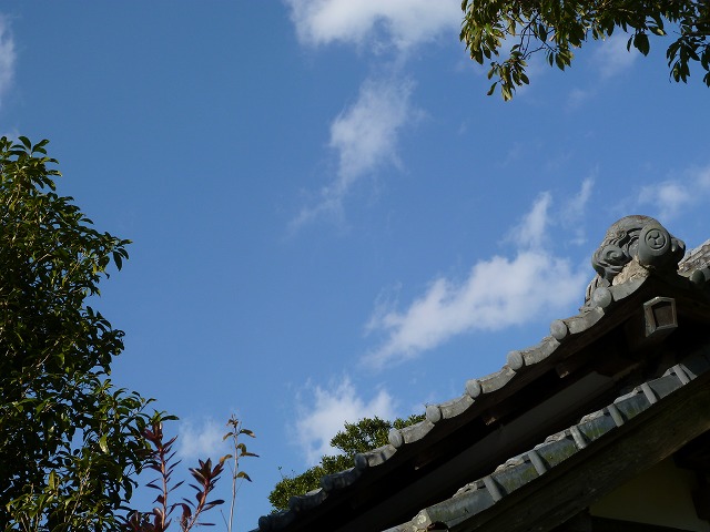 d0037110_20484627.jpg