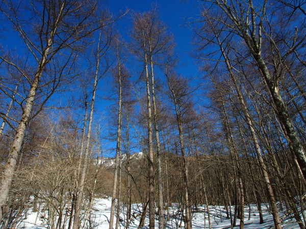 b0244811_2218054.jpg