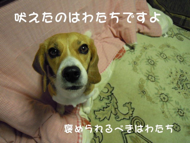 c0166622_15522282.jpg