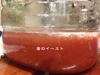 d0042827_3101016.jpg