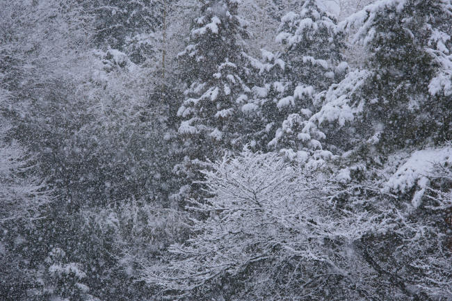 f0017530_21153195.jpg